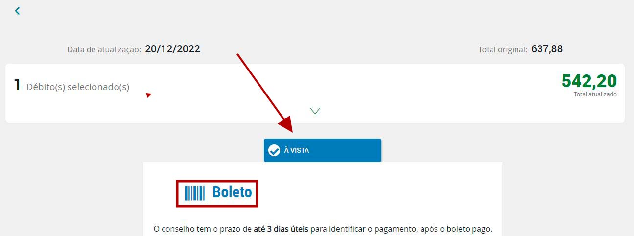 Emita sua Certidão de Registro/Inscrição e de Regularidade Financeira no  site do CRESS/SC – CRESS 12ª Região