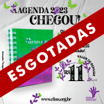 ESGOTADAS – Chegou a Agenda Assistente Social 2023, mulheres de luta!